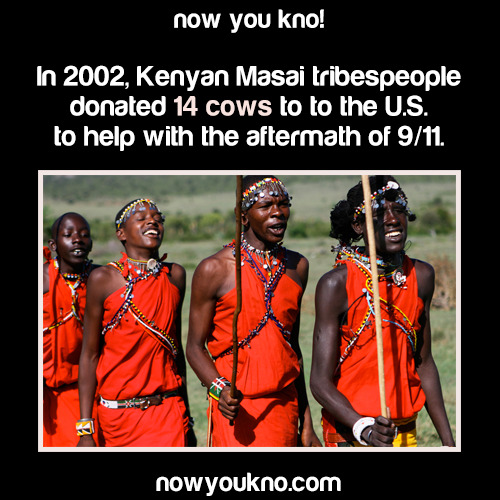 awesomonster:
“ obese-starving-artist:
“ the-treble:
“ nowyoukno:
“ Source for more facts on your dash follow NowYouKno
”
That was super nice of them.
And now I’m mad that nobody told us we were given cows. Cause that’s really f*cking nice and nobody...