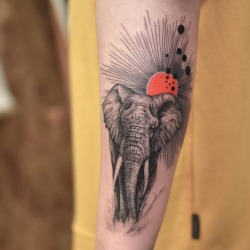 Elephant Tattoo Artist: Tattooist Grain - Hongik.Univ.Station, Seoul, Korea