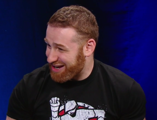 sunshinesamizayn:  The four stages of a radiant smile, presented to you by Sami Zayn.