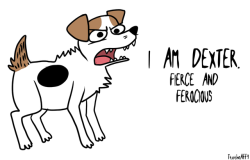 ttotheaffy:How my dog sees himself.