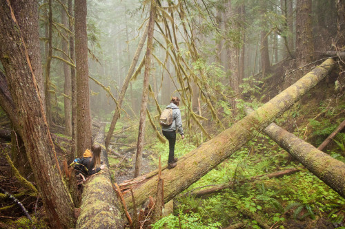 On the hunt for the perfect slack spot.