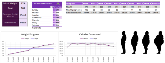 10 Weeks Weight Gain Tracker Available!