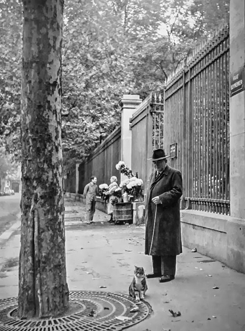 Porn photo Paris 1950s  Photo: Izis