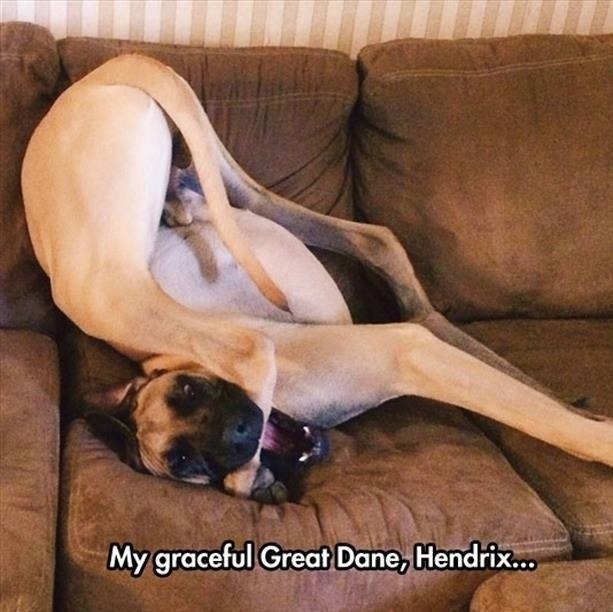 wannajoke:  Such grace