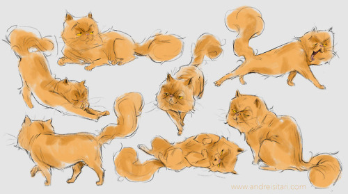 A quick sketch of Crookshanks, Hermione’s asshole cat.EDIT: Added some gestures for this little fell