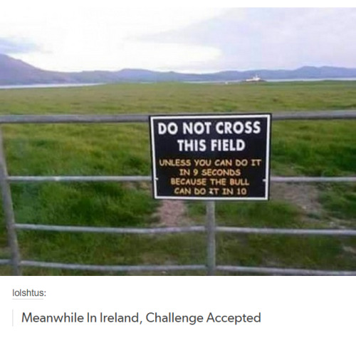 Sex lolfactory:  Meanwhile, in Ireland… ➨ pictures