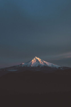 thelavishsociety:  Hood by Nick Carnera |