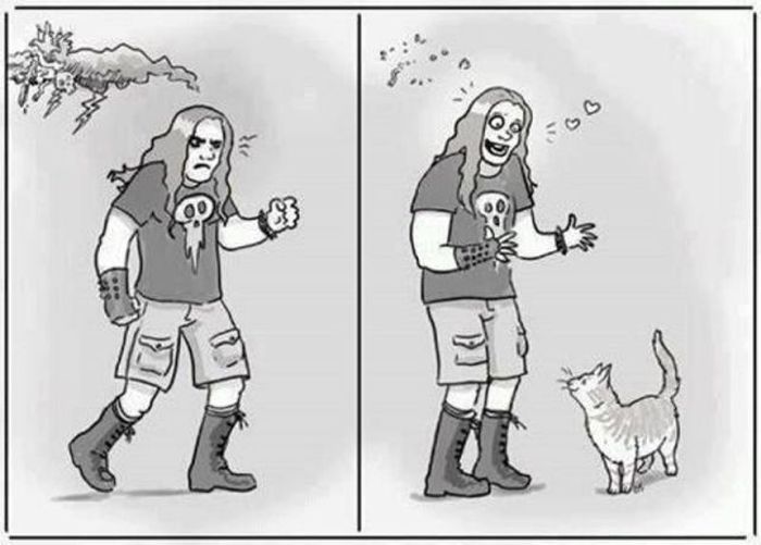 black metal cat meme