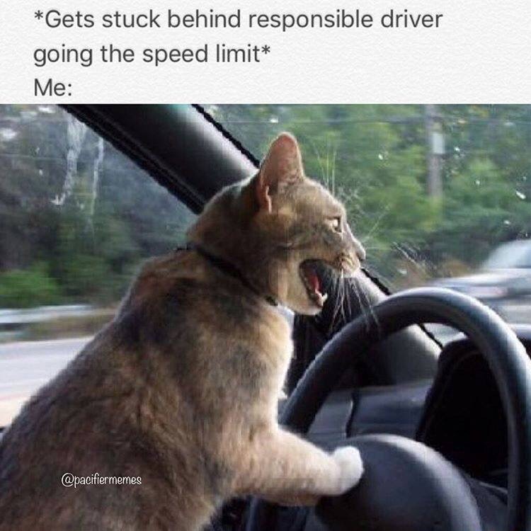 catstextposts:  Me af