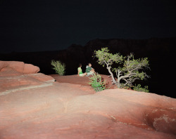 Inka Lindergård &amp; Niclas HolmströmWatching humans watching XIX, 2010