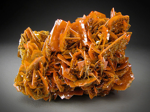 Wulfenite“Stone Crack”, Xinjiang, China