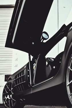 teamfytbl:  SLR | Source | More   