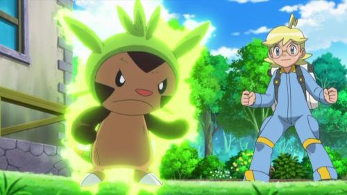 clemontic:  Next week: A fat Chespin, Clemont…. uuuh…. and Chespin activates Overgrow. 