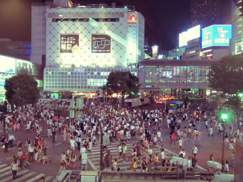 Enjoying the view on the famous Shibuya pedestrian crossing from the Starbucks… Shibuya, Toky