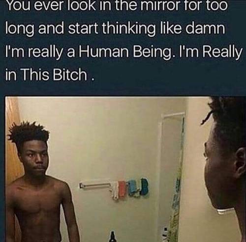 luciousfox247 - LuciousFox247