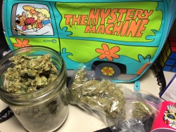 whidbeychronic:  Shaggy’s stash 