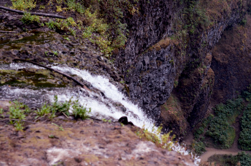 Silver Falls, Oregon, USAInstagram