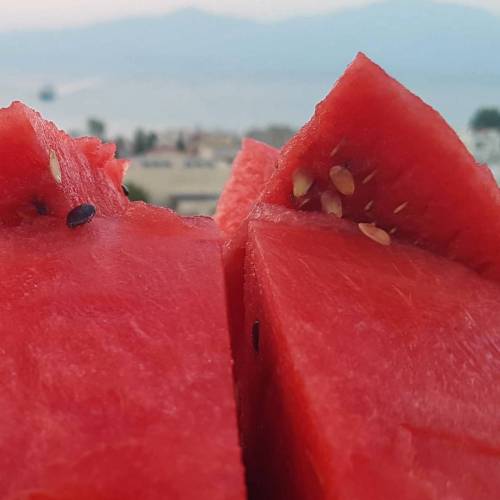 #watermelon #summer #drink #cocktail #view #beach #greece #hot #russia #iloverussia #island #pacific