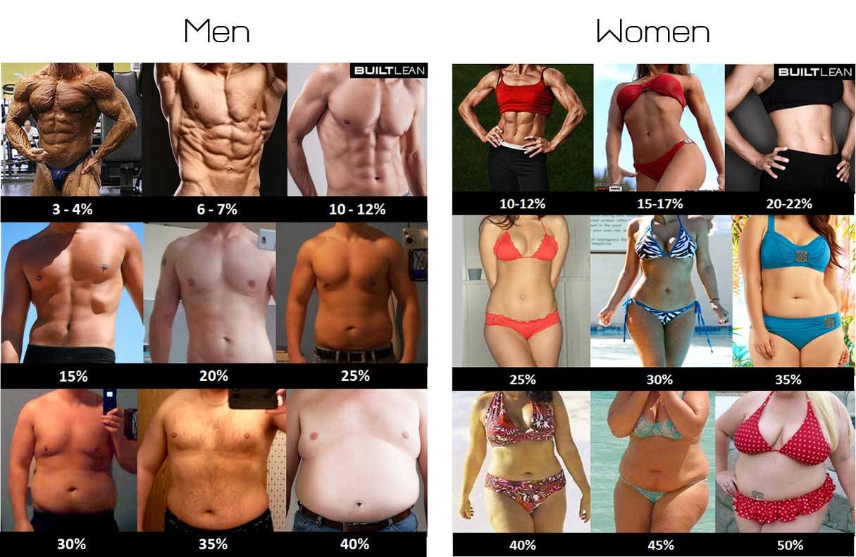 Body Fat Percentage Photos of Men & Women - BuiltLean