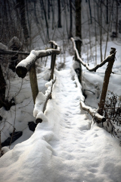 the-forces-of-nature:  The Path by Melissa_Love