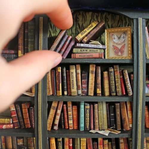 sosuperawesome:Miniature Libraries / Butterfly Cabinet / Snowdrift Witch MirrorLDelaney on Etsy