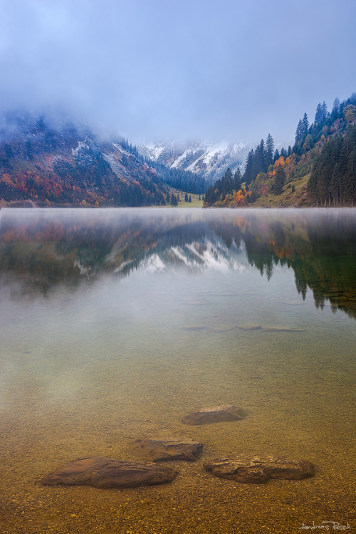 woodendreams:  (by Andreas Resch) 