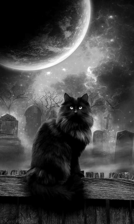 hell was the journey but it brought me heaven