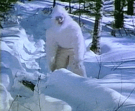 rhetthammersmithhorror:The Capture of Bigfoot | 1979