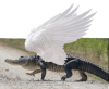 tittyblade:triigunstampede:tittyblade:triigunstampede:teamfortresstwo:triigunstampede:frozennautical:triigunstampede:salamencerobot:triigunstampede:crocodiles/alligators