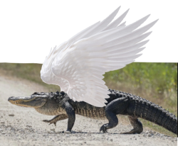 tittyblade:triigunstampede:tittyblade:triigunstampede:teamfortresstwo:triigunstampede:frozennautical:triigunstampede:salamencerobot:triigunstampede:crocodiles/alligators