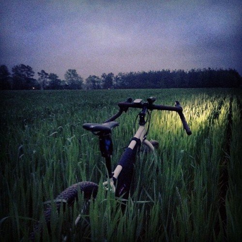 ahhyea777:  I really do love my #salsafargo #30daysofbiking #salsabikes #adventurebybike #mtb #bike 