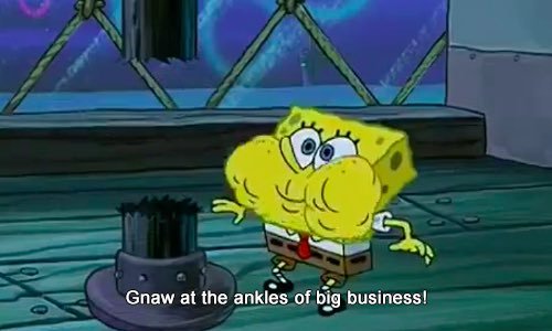 floweryafro: spongebob gets it