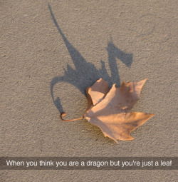 cherrysnak:  tastefullyoffensive:  Beleaf in yourself. (photo via idontcarrybags)   They are both    “Fuck you, I’m a dragon!” -Leaf.