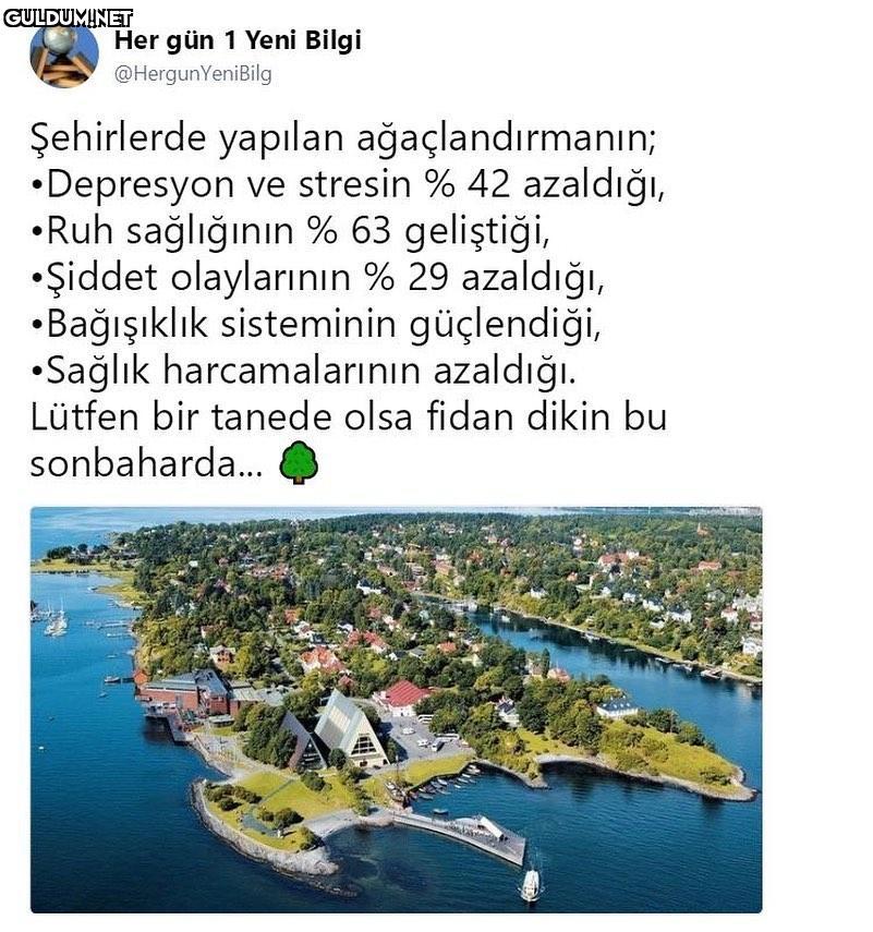 Her gün 1 Yeni Bilgi...