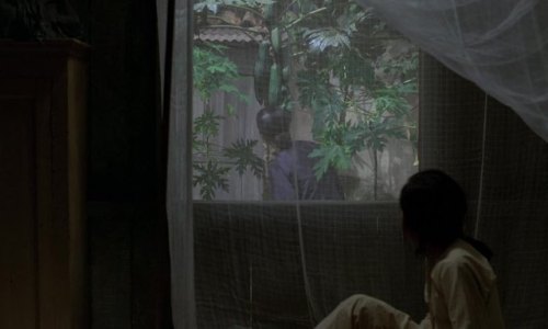 filmedinether:The Scent of Green Papaya (1993), Tran Anh Hung