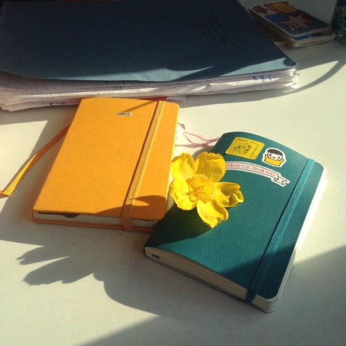 monet-boy:  the sunlight at teabagskies house is so beautiful 💞💞 ft our pretty journals