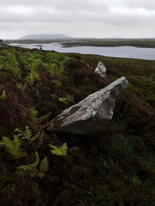 Phobull Fhinn with its beautiful heather moorland, North Uist, Western Isles - this stone circle sta