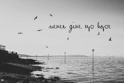 choose to be nice