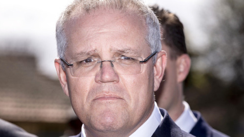 theauspolchronicles:Scott Morrison mourns the anniversary of Captain Cook’s death, lamenting that he