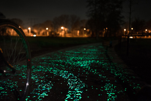 asylum-art:  Daan Roosegaarde’s glowing  Van Gogh cycle path to open in the Netherlands “It’s a new total system that is self-sufficient and practical, and just incredibly poetic,” said Roosegaarde. Dutch designer Daan Roosegaarde’