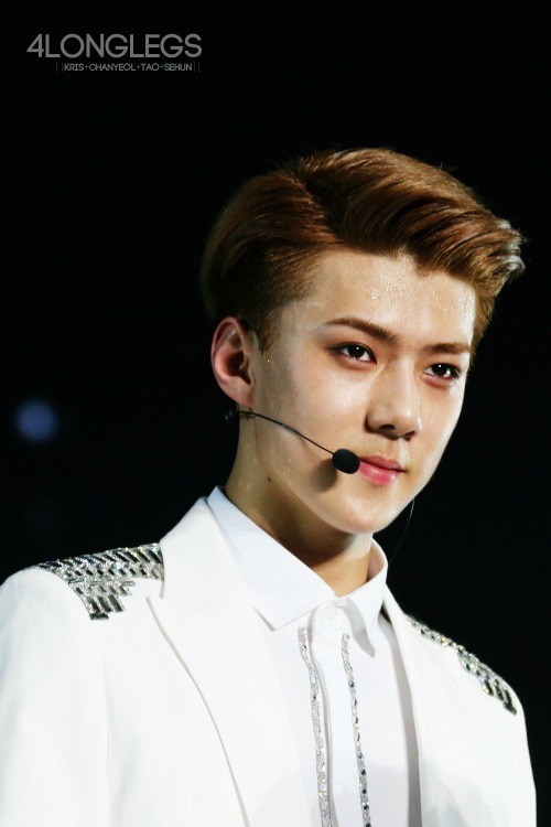fy-exo:  4longlegs | do not edit. 
