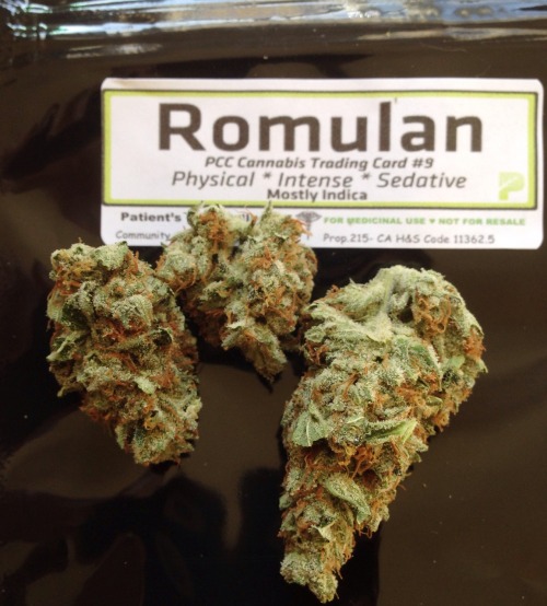 Previously Videogamesandmaryjane