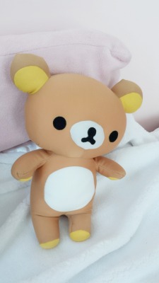 babycowsoup:  my favorite plushie is my rilakkuma