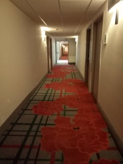 love-always-adelaide:secretwriterstudentjaune:chloe-baboey:Finally, a hotel that