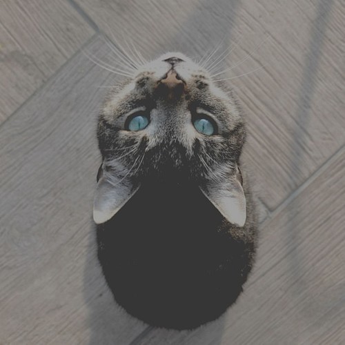 mandypandinha:  Tumblr em We Heart It.