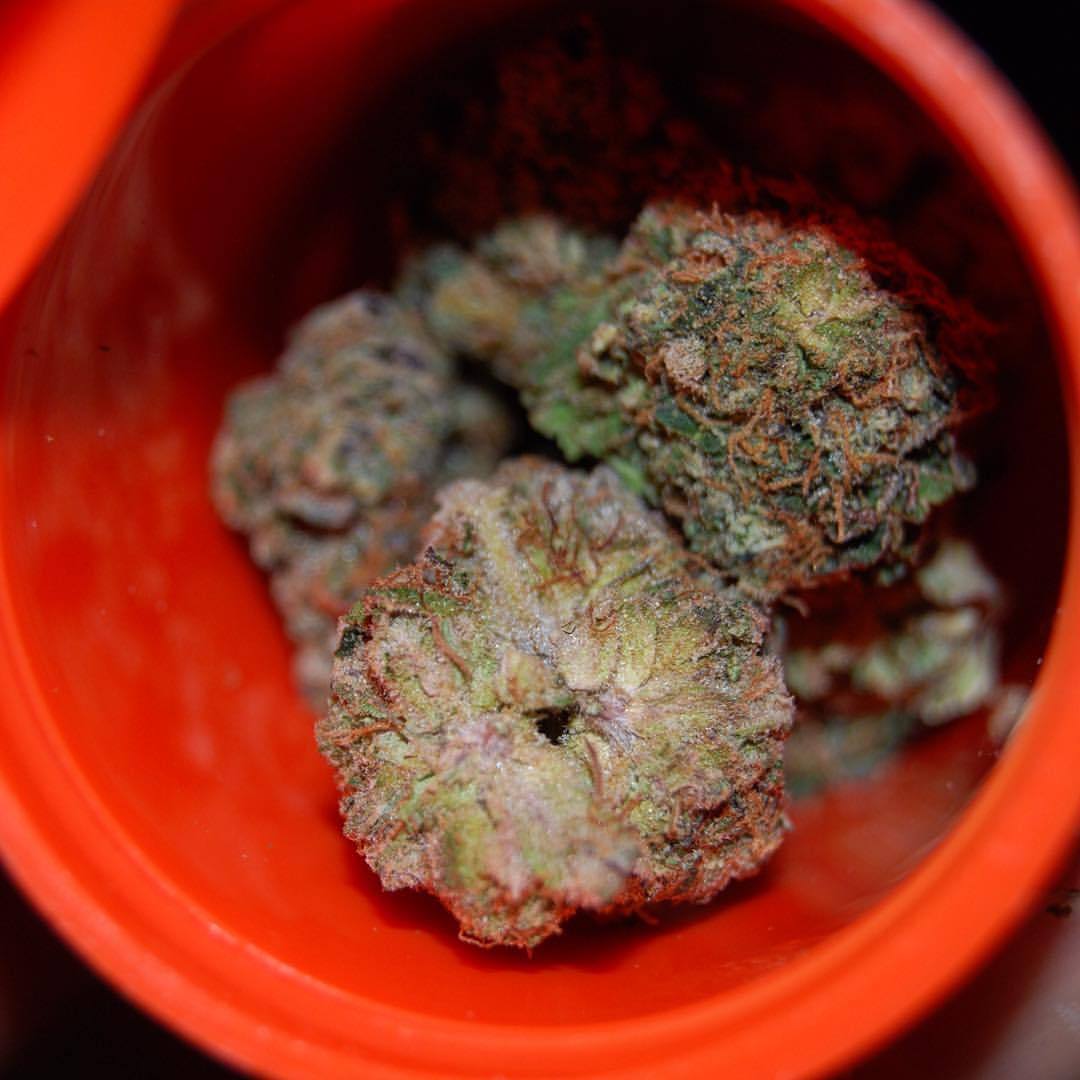 originaltoolit2quit:  Steady on my #TooLit2Quit #GoodVibes #beautiful #dope #dank