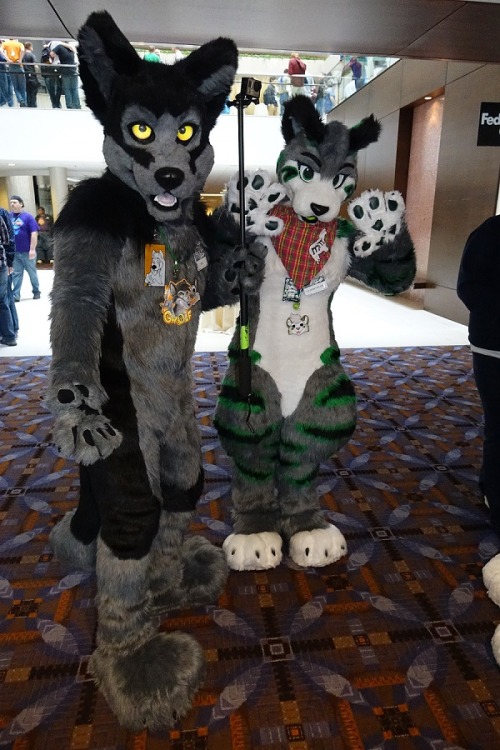 XXX twitchytigs:  Tigsy and GW0LF at Midwest photo