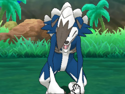 mimikyugiveaways:  tinytheursaring:  midnight lycanroc likes it when you pet his front paws. he wants to hold hands with you!!!   Reblog if you would hold his hand 