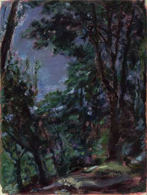 Night Park (Neukastel)  -  Max Slevogt  1917German 1868-1932