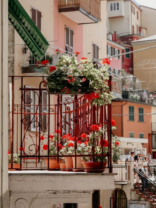 vivalcli:Manarola, Italy | Marit Gijsberts